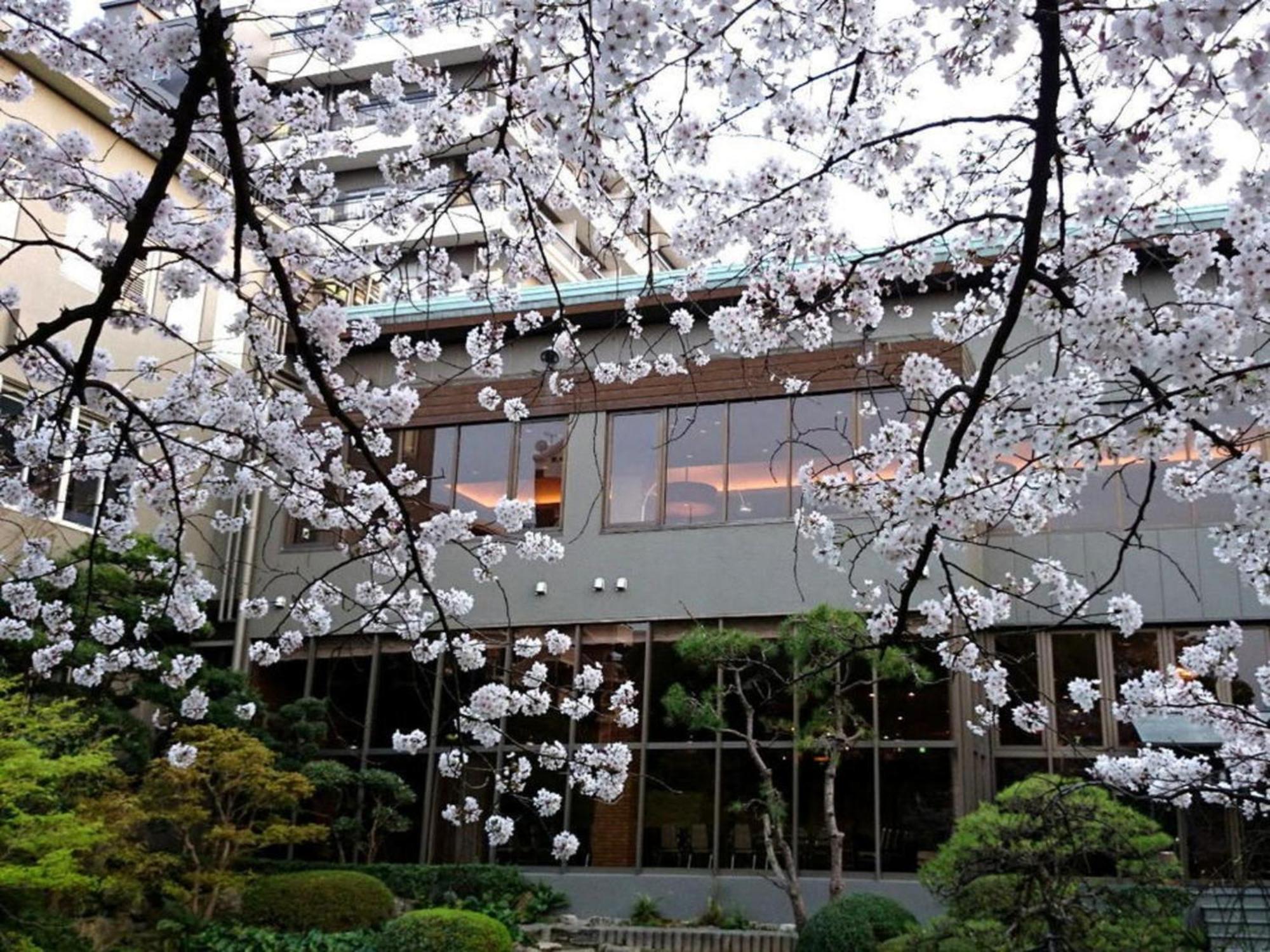 Suikoyen Hotel - Vacation Stay 53816V Kurume Exterior photo